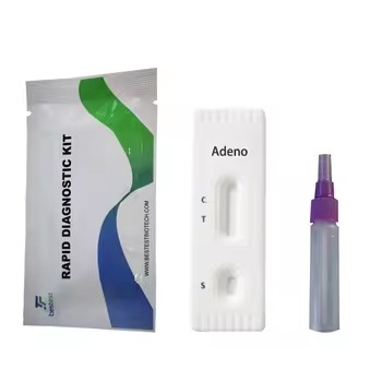 Adenovirus