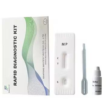 Mycoplasma 