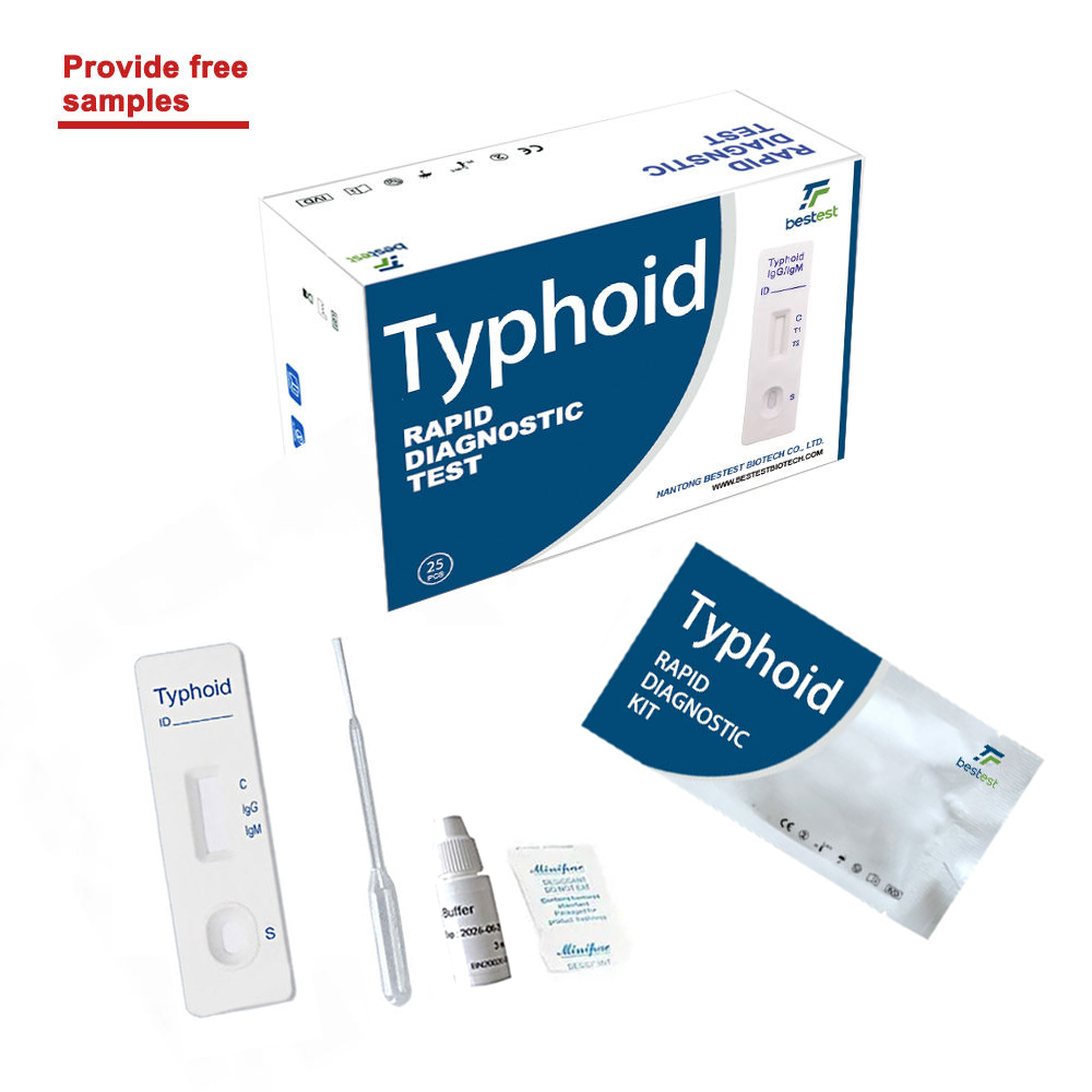 Typhoid